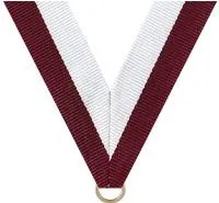 Medals, example 14 from the All American Trophy shop