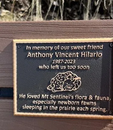 Memorial Bronze example 5