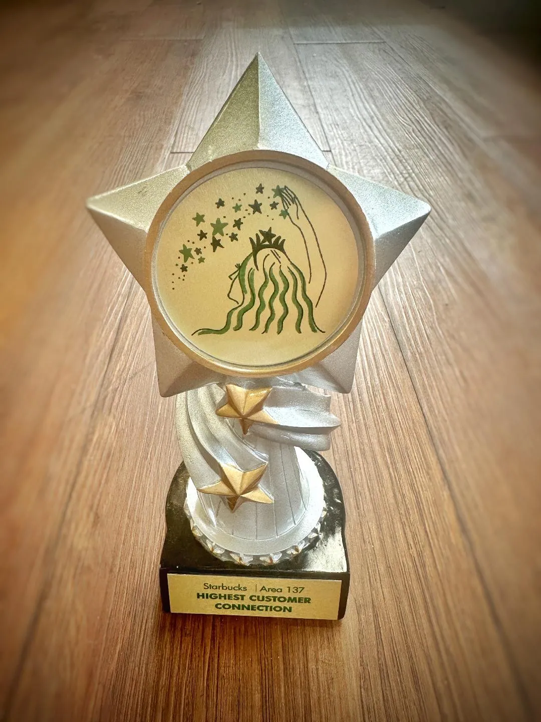 Silver Star Trophy: 7 1/2" Encore Resin 2" Insert Holder